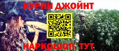 сатива Аргун