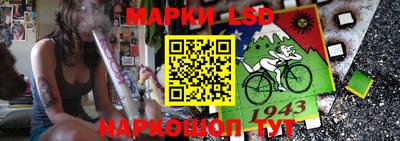 сатива Аргун