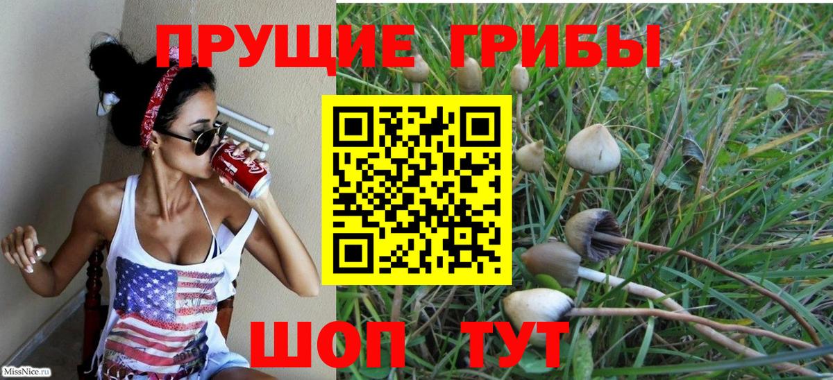 Псилоцибиновые грибы Magic Shrooms  Вход с VPN  Галлюциногенные грибы ЛСД  Боровичи 